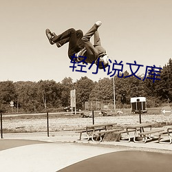 輕小說文庫