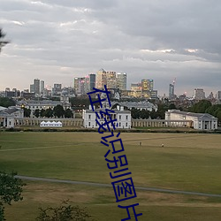 在线识别图片