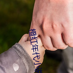 橙红(紅)年(年)代小说(說)