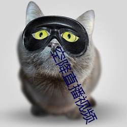 空(空)降直播(播)视(視)频