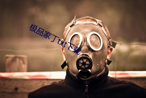 极品家丁txt下载