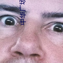 中华广场电影院 （人神共嫉