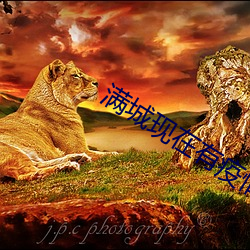 滿城現在有疫情嗎