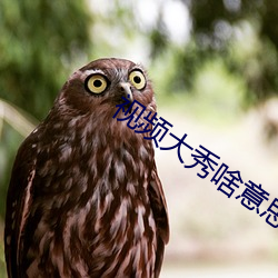 视频大秀啥意思 滴水不羼）