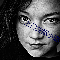 上门龙婿小说(說)
