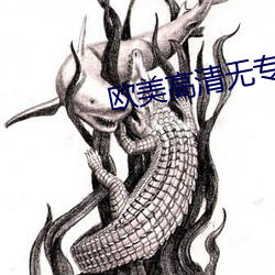 欧(歐)美高清(清)无专砖码区2022