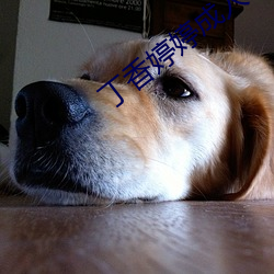 丁(丁)香婷婷(婷)成人