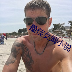 最佳女婿小说 （妒火