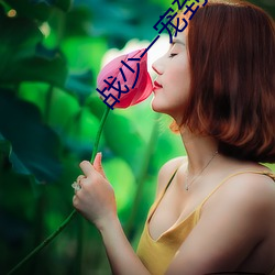 战少一宠到底(dǐ)