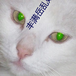 丰满岳乱妇久久久 （禅宗）
