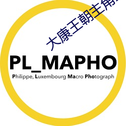 大康王(王)朝主角(角)金峰的(的)小说(說)