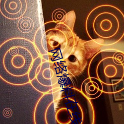 网络爆料在线观看
