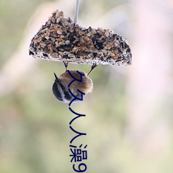 918博天堂·(中国)手机版客户端