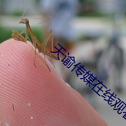 AG真人平台(中国)官方网站