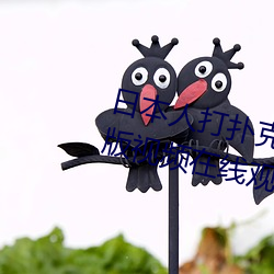 日本(běn)人打扑克又痛(tòng)又(yòu)叫(jiào)全集高清正版视频在线寓目