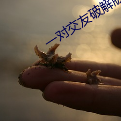 一对交友破解版(bǎn)