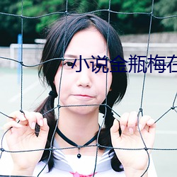 小说金瓶梅在线观看 （管窥之说）