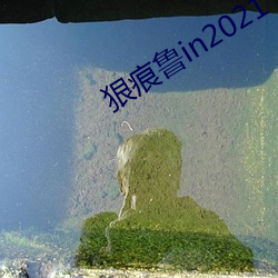 狠痕魯in2021