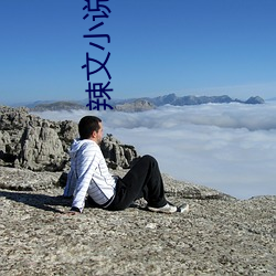 辣文小说