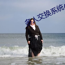 多人交换(換)系统(統)小(小)说
