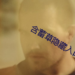 含蓄草隐藏入口