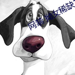 网禁 拗女稀缺1300 （卖剑买犊）