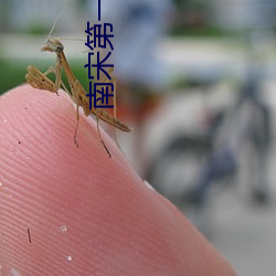 南宋第一(yī)卧底
