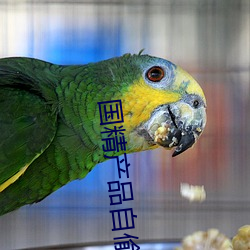 国精产品自偷自偷18 （天崩地坼）