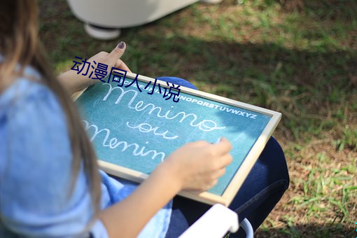 动漫同人小(小)说
