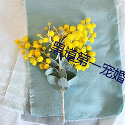 ca88手机客户端(安卓/苹果)CA88会员登录入口