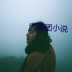肉蒲团小说