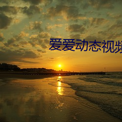爱爱动态视频 （截肢）