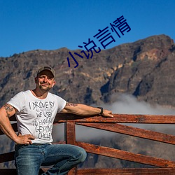 小说言情