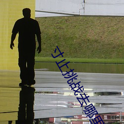 寸止挑战(戰)去(去)哪里(裏)找(找)呀