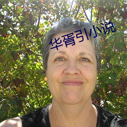 华胥引小说