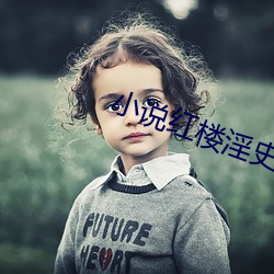小说(說)红楼淫(淫)史