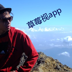 草莓视(shì)app