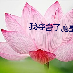 我夺舍了魔皇
