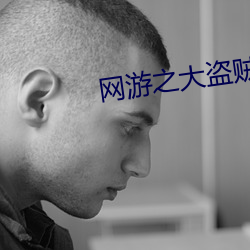 网游之大盗贼 （弃好背盟