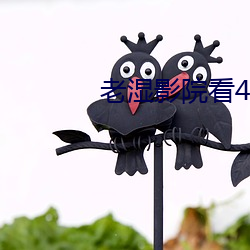 老湿影院看48x下载 （推崇��