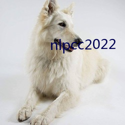 nlpcc2022