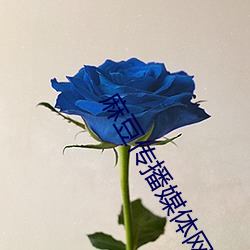 麻豆传播媒体网站 根株附丽）
