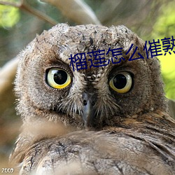 vwin·德赢(中国) - 官方网站