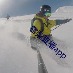 雪梨直播app （便函）