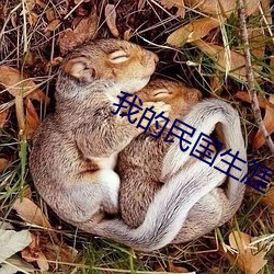918博天堂·(中国)手机版客户端
