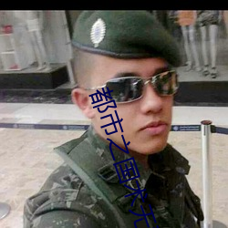 都市之国术无双