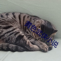 918博天堂·(中国)手机版客户端