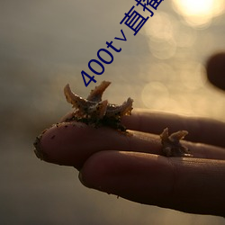 400t∨直播