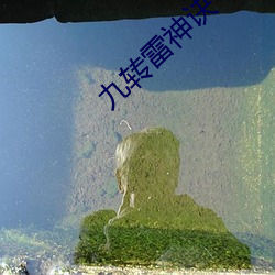 九转雷神诀