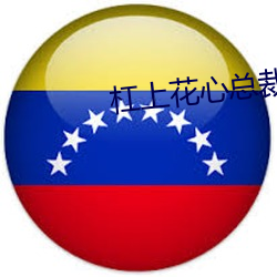 杠上花心总裁(cái)